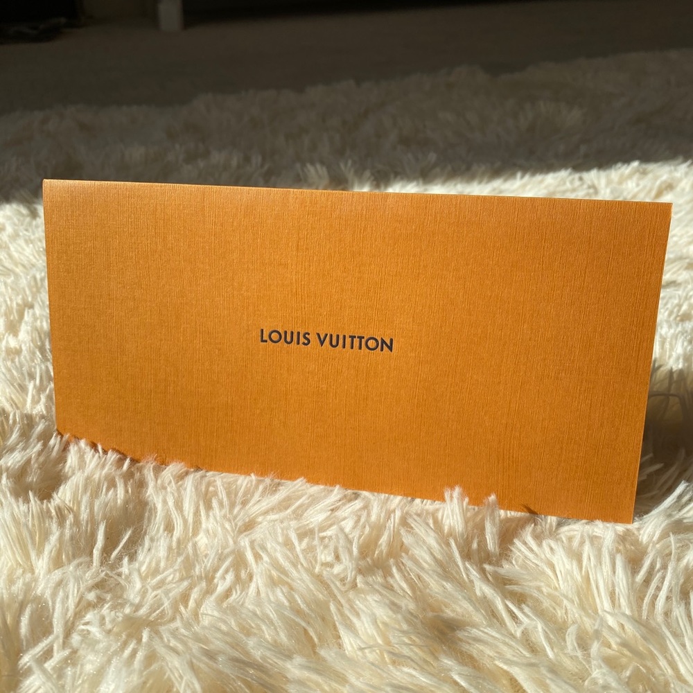 LOUIS VUITTON Envelope